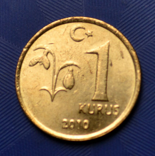 1 куруш 2010 Реверс