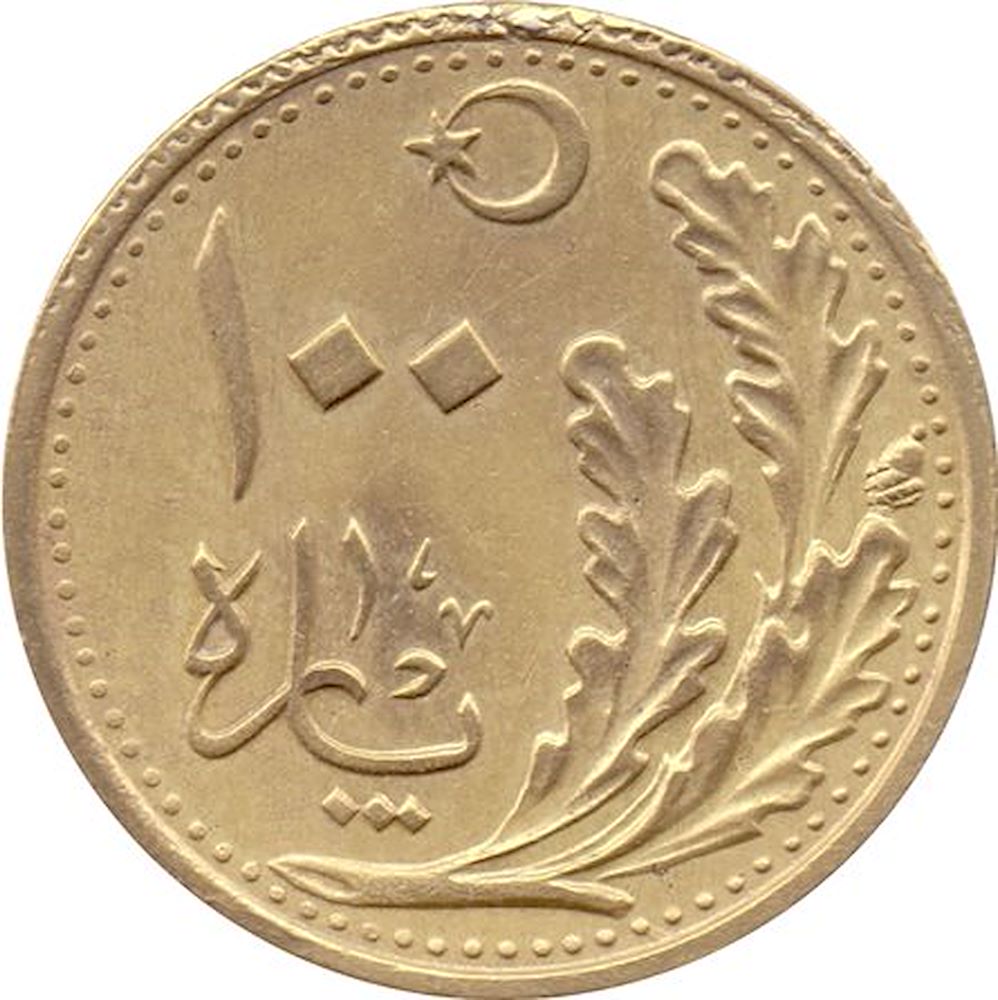 100 пара 1928 Аверс