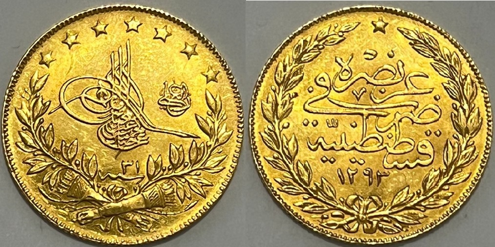 100 куруш Мескюк 1293/31