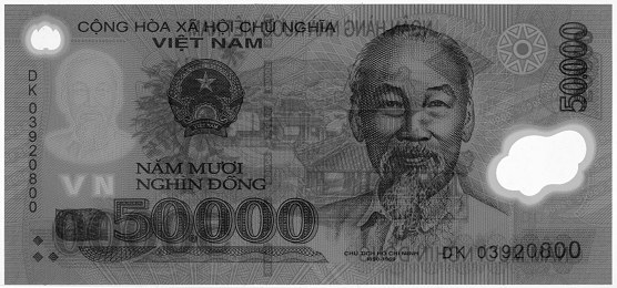 Вьетнам Полимерные 50 000 донгов 2003 banknote, 50000₫, watermark Вьетнам Полимерные 50 000 донгов 2003 banknote, 50000₫, watermark