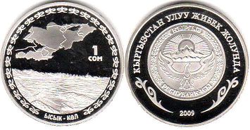 монета Киргизия 1 сом 2009