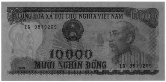 Вьетнам 10 000 донгов 1993 banknote, 10000₫, watermark