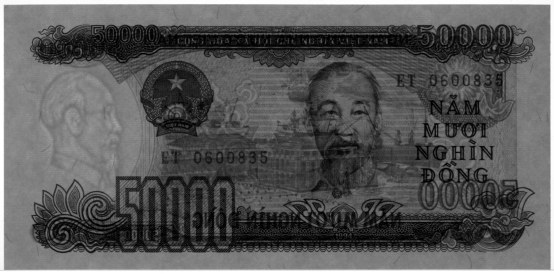 Вьетнам 50 000 донгов 1994 banknote, 50000₫, watermark